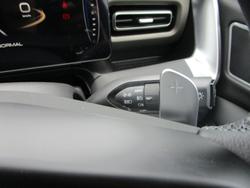 2025 GWM Cannon Ultra