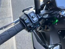 2020 Kawasaki Z900 (ZR900B) Z Green
