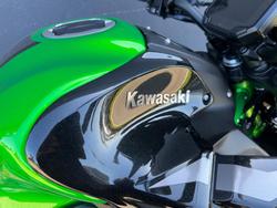 2020 Kawasaki Z900 (ZR900B) Z Green