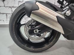 2025 Triumph Tiger Sport 800 Tiger