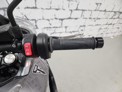 2025 Triumph Tiger Sport 800 Tiger