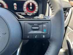 2025 Nissan X-TRAIL N-TREK