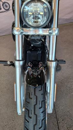 2022 Harley-davidson FXST SOFTAIL STANDARD (107) Black