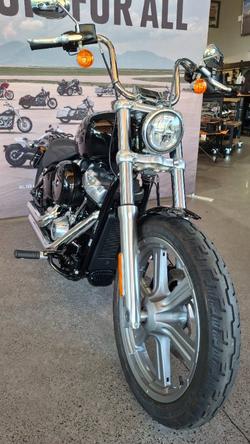 2022 Harley-davidson FXST SOFTAIL STANDARD (107) Black