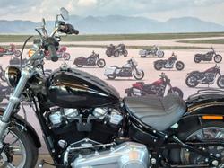 2022 Harley-davidson FXST SOFTAIL STANDARD (107) Black