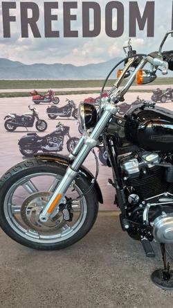 2022 Harley-davidson FXST SOFTAIL STANDARD (107) Black