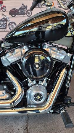 2022 Harley-davidson FXST SOFTAIL STANDARD (107) Black