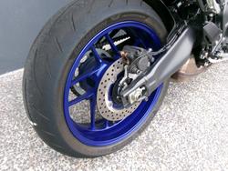 2024 YAMAHA XSR900GP (MTM890ASP) Blue