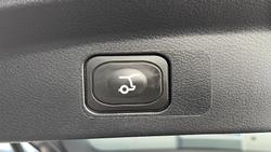 2024 Ford Everest Trend