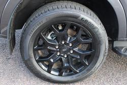 2025 Ford Everest Sport