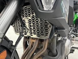 2019 Kawasaki VERSYS 1000 SE (KLZ1000) Green
