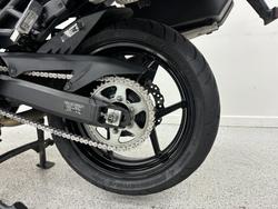 2019 Kawasaki VERSYS 1000 SE (KLZ1000) Green