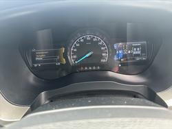 2019 Ford Everest Trend