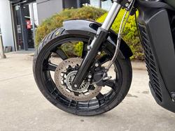 2023 Indian SCOUT ROGUE Green