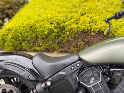 2023 Indian SCOUT ROGUE Green