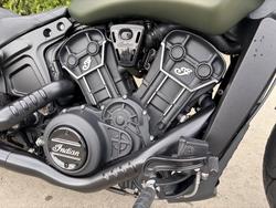 2023 Indian SCOUT ROGUE Green