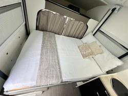 2022 Windsor Daintree