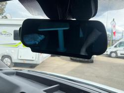 2022 Windsor Daintree