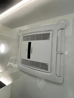 2022 Windsor Daintree