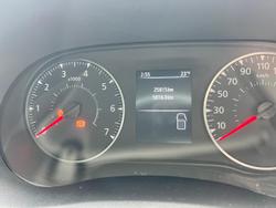 2022 Windsor Daintree