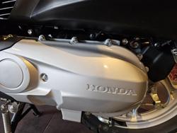 2019 Honda Dio (NSC110) Dio White