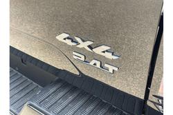 2025 GWM
                Cannon Vanta