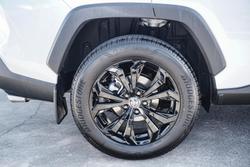 2024 Toyota RAV4 Cruiser