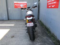2019 DUCATI SCRAMBLER DESERT SLED WHITE