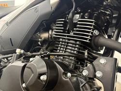 2024 CFMOTO 2024 Cf Moto 125CC PAPIO XO RACER Red