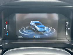 2025 Ford Everest Sport