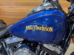 2017 Harley-davidson FLSTN SOFTAIL DELUXE Blue