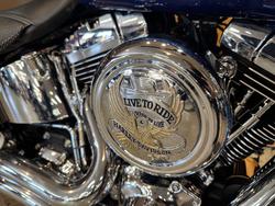 2017 Harley-davidson FLSTN SOFTAIL DELUXE Blue