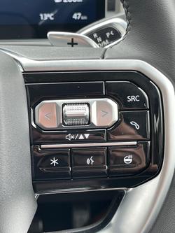 2025 LDV Terron 9 Evolve