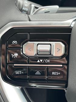 2025 LDV Terron 9 Evolve