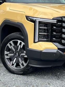 2025 LDV Terron 9 Evolve