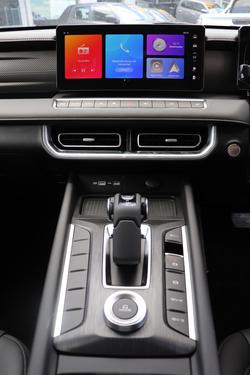 2025 GWM Cannon Premium