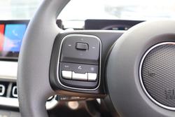 2025 GWM Cannon Premium