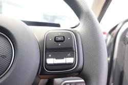 2025 GWM Cannon Premium