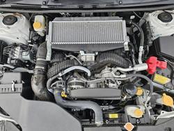 2024 Subaru WRX Club Spec VB MY24 AWD Ceramic White