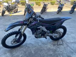 2020 Kawasaki KX250 Brown