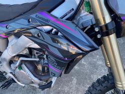 2020 Kawasaki KX250 Brown