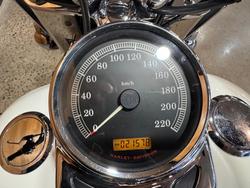 2009 Harley-davidson FLSTC HERITAGE SOFTAIL CLASSIC Purple