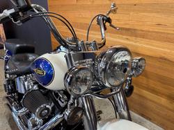 2009 Harley-davidson FLSTC HERITAGE SOFTAIL CLASSIC Purple