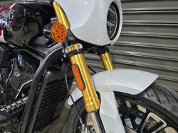 2025 Indian SCOUT 101 WHITE
