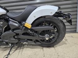 2025 Indian SCOUT 101 WHITE