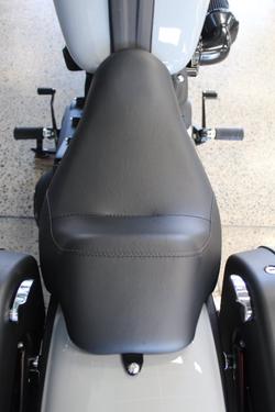 2024 Harley-davidson FXLRST LOW RIDER ST (117) billiard gray