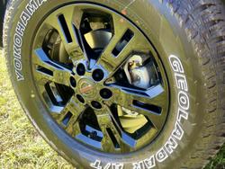 2025 Nissan Navara Pro-4X (4x4)