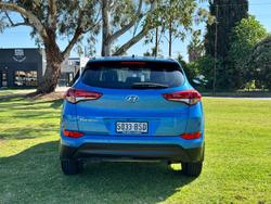 2017 Hyundai Tucson Active TLe MY17 Ara Blue