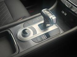 2021 GWM Ute Cannon-X