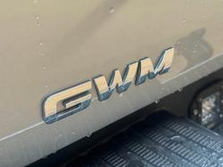 2021 GWM Ute Cannon-X